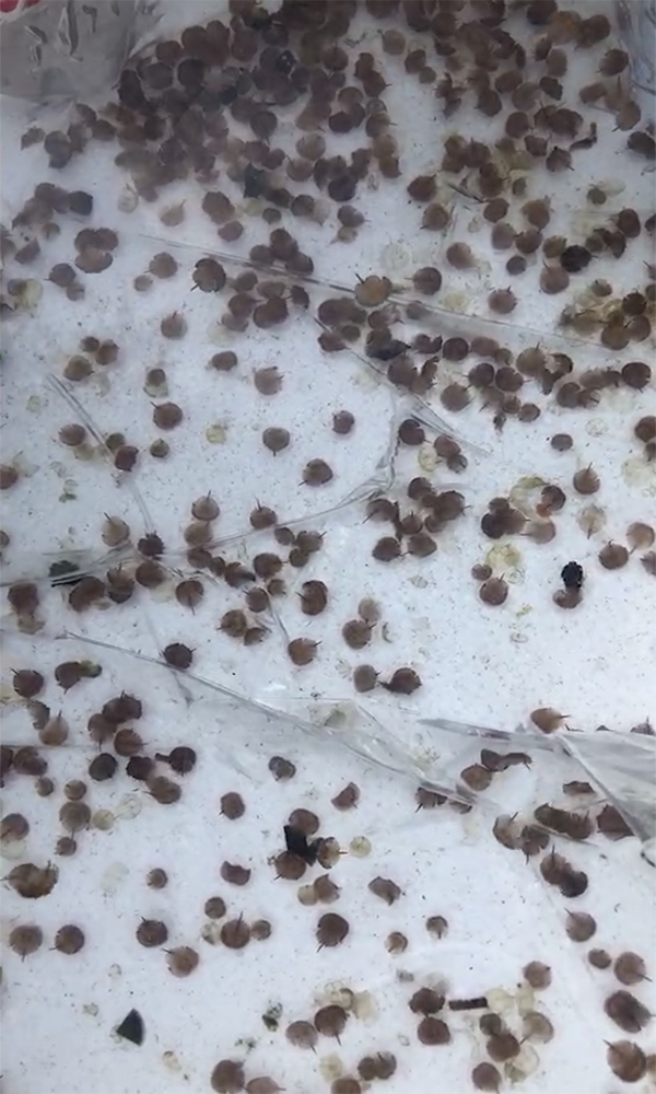 1565333270124527.png 微信圖片_20190808161530.png